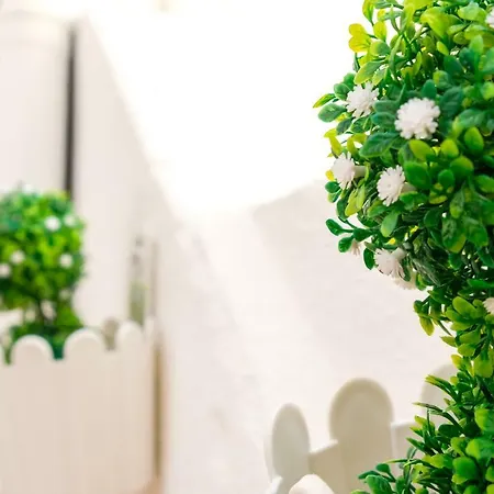 Appartement Villa Beach *